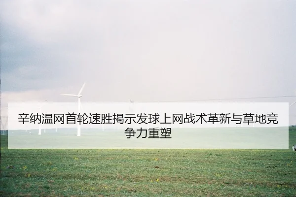 xin-na-wen-wang-shou-lun-su-sheng-jie-shi-fa-qiu-shang-wang-zhan-shu-ge-xin-yu-cao-di-jing-zheng-li-zhong-su-2-370.jpg