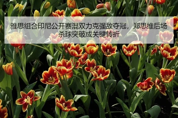 ya-si-zu-he-yin-ni-gong-kai-sai-hun-shuang-li-ke-qiang-di-duo-guan-zheng-si-wei-hou-chang-sha-qiu-tu-po-cheng-guan-jian-2-122.jpg